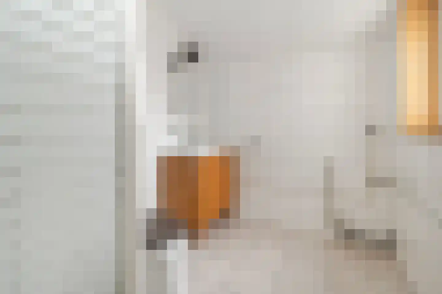 Eoceenstraat 44 Heerlen thumbnail 15