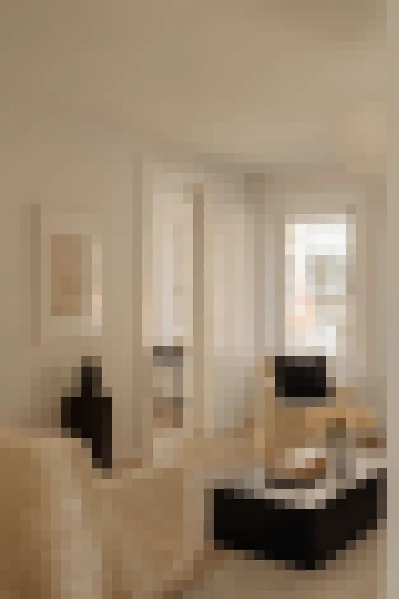 Eosstraat 7 1 Amsterdam thumbnail 11