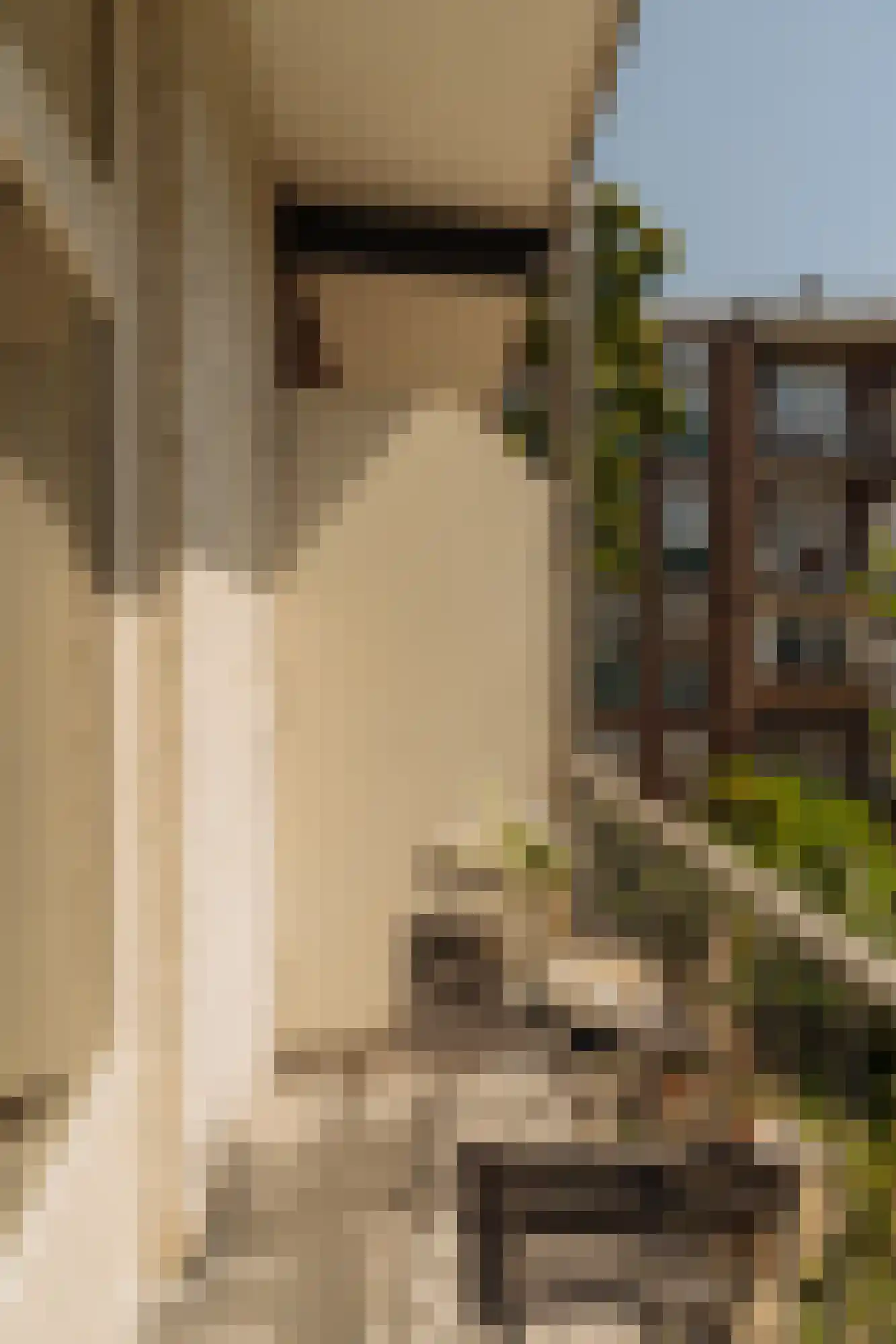 Eosstraat 7 1 Amsterdam thumbnail 22