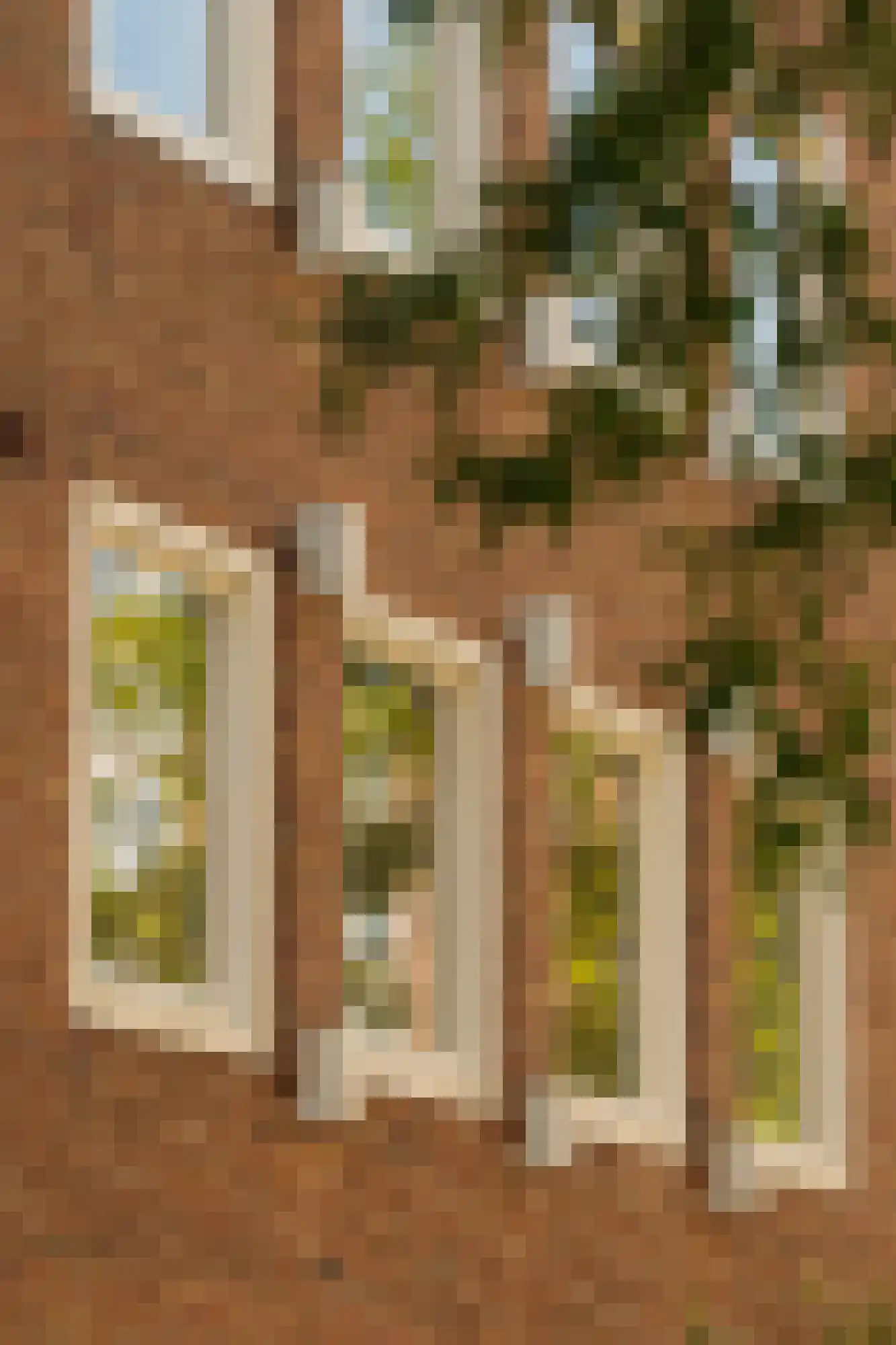 Eosstraat 7 1 Amsterdam thumbnail 23