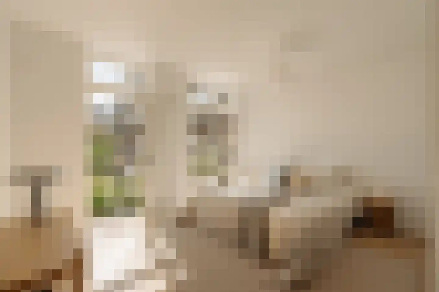 Eosstraat 7 1 Amsterdam thumbnail 4