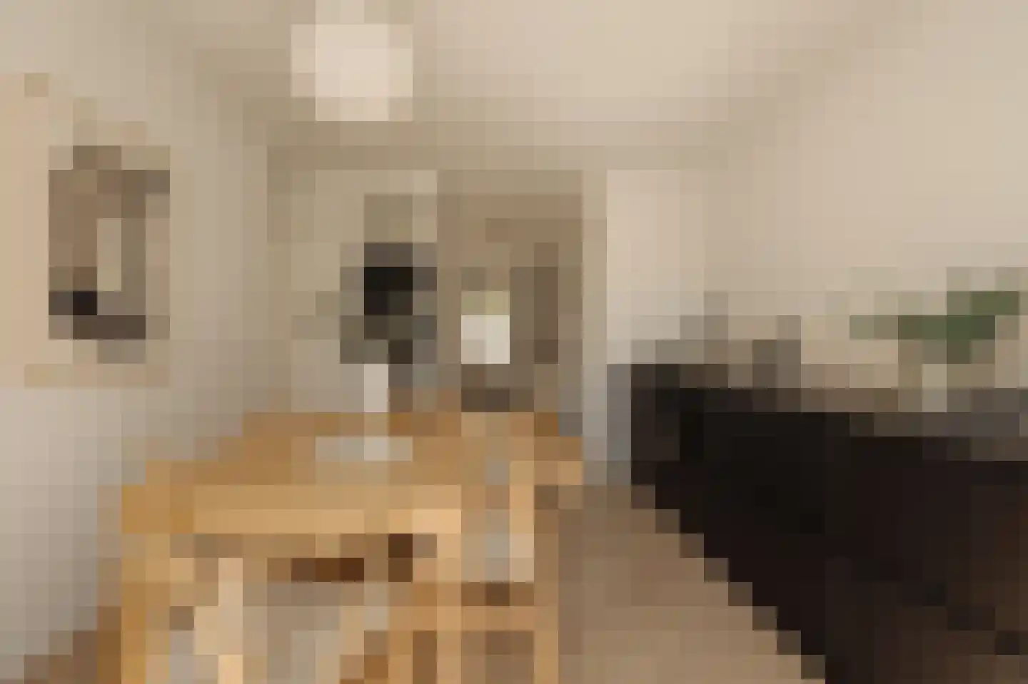 Eosstraat 7 1 Amsterdam thumbnail 5