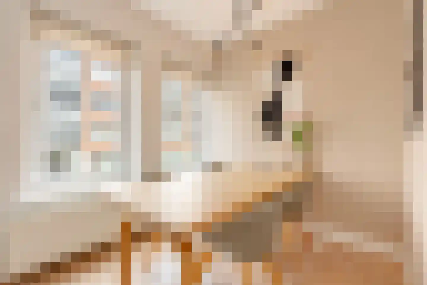 Eosstraat 9 2 Amsterdam thumbnail 11