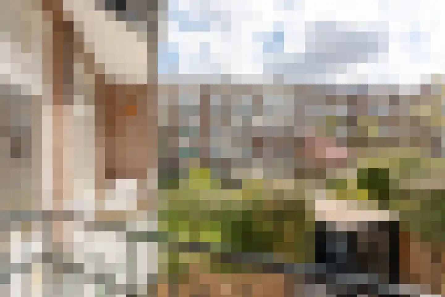 Eosstraat 9 2 Amsterdam thumbnail 14
