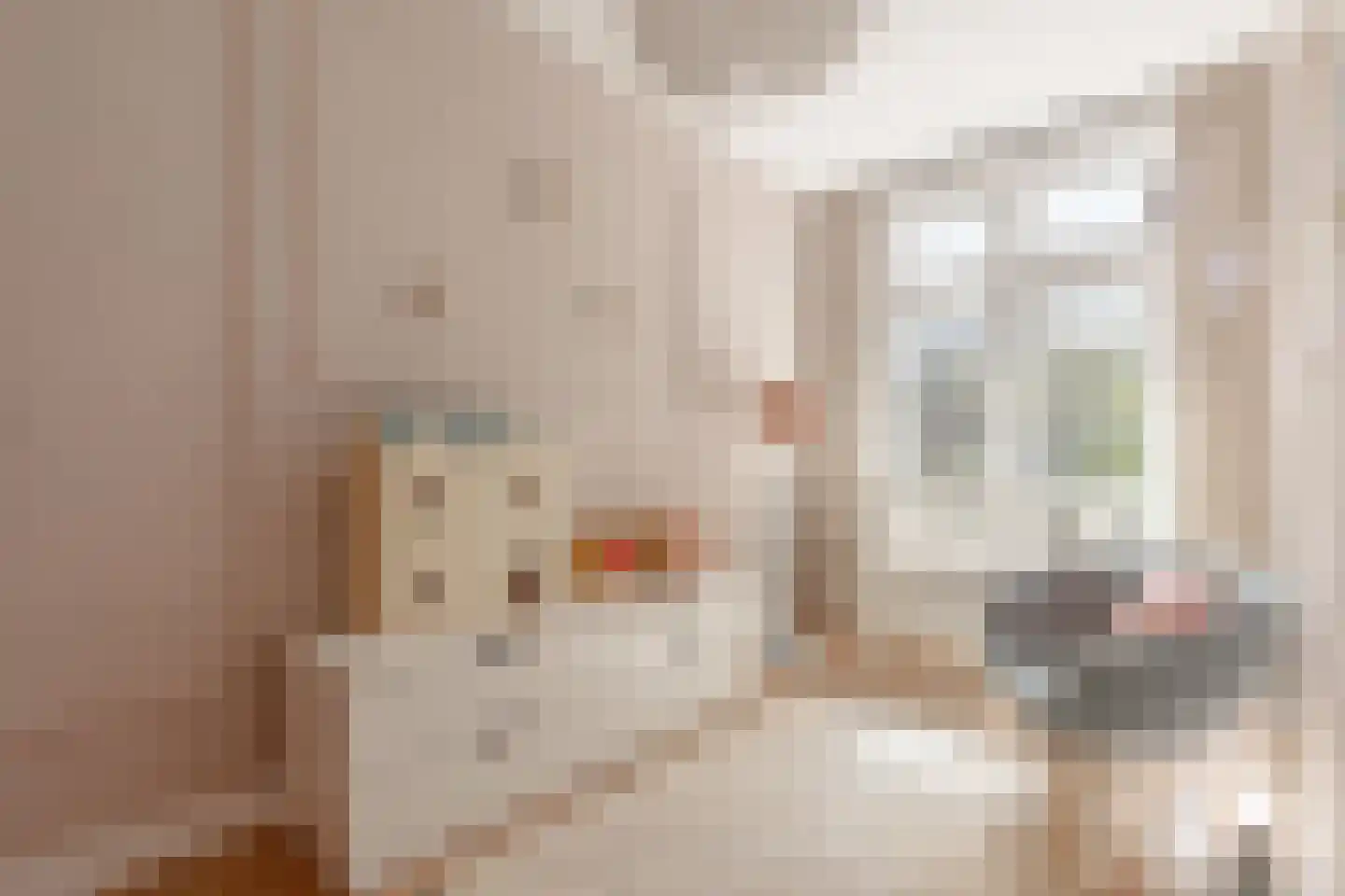 Eosstraat 9 2 Amsterdam thumbnail 20