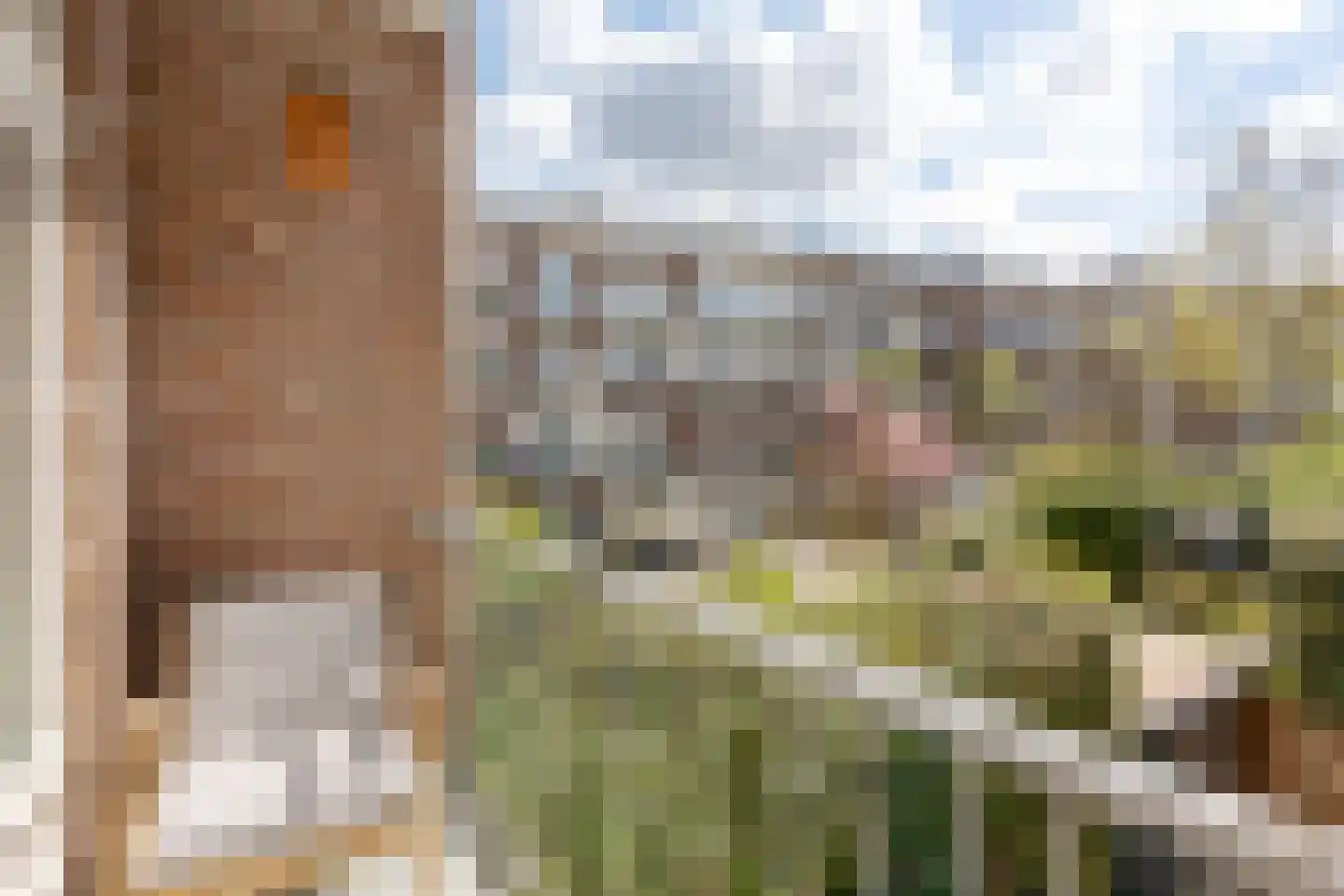 Eosstraat 9 2 Amsterdam thumbnail 4