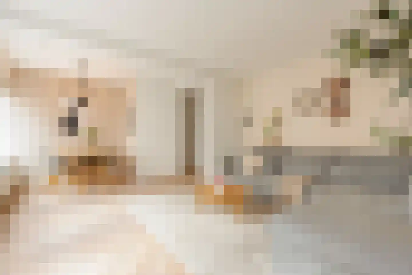 Eosstraat 9 2 Amsterdam thumbnail 7