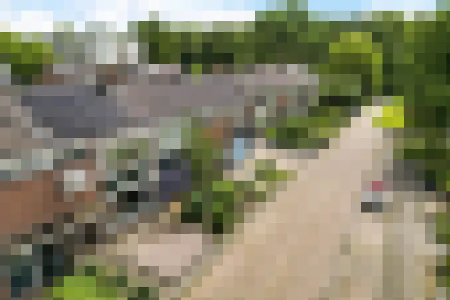 Epe 11 Assen thumbnail 37