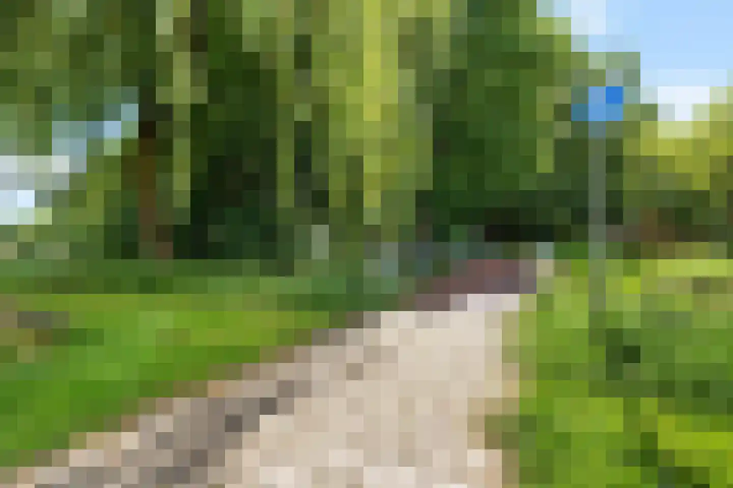 Epe 11 Assen thumbnail 39