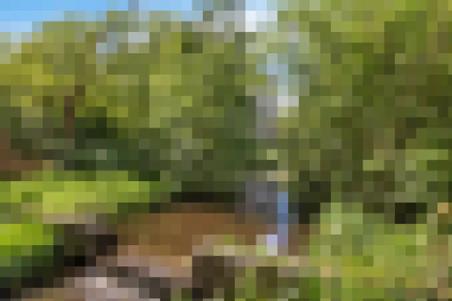 Epe 11 Assen thumbnail 40
