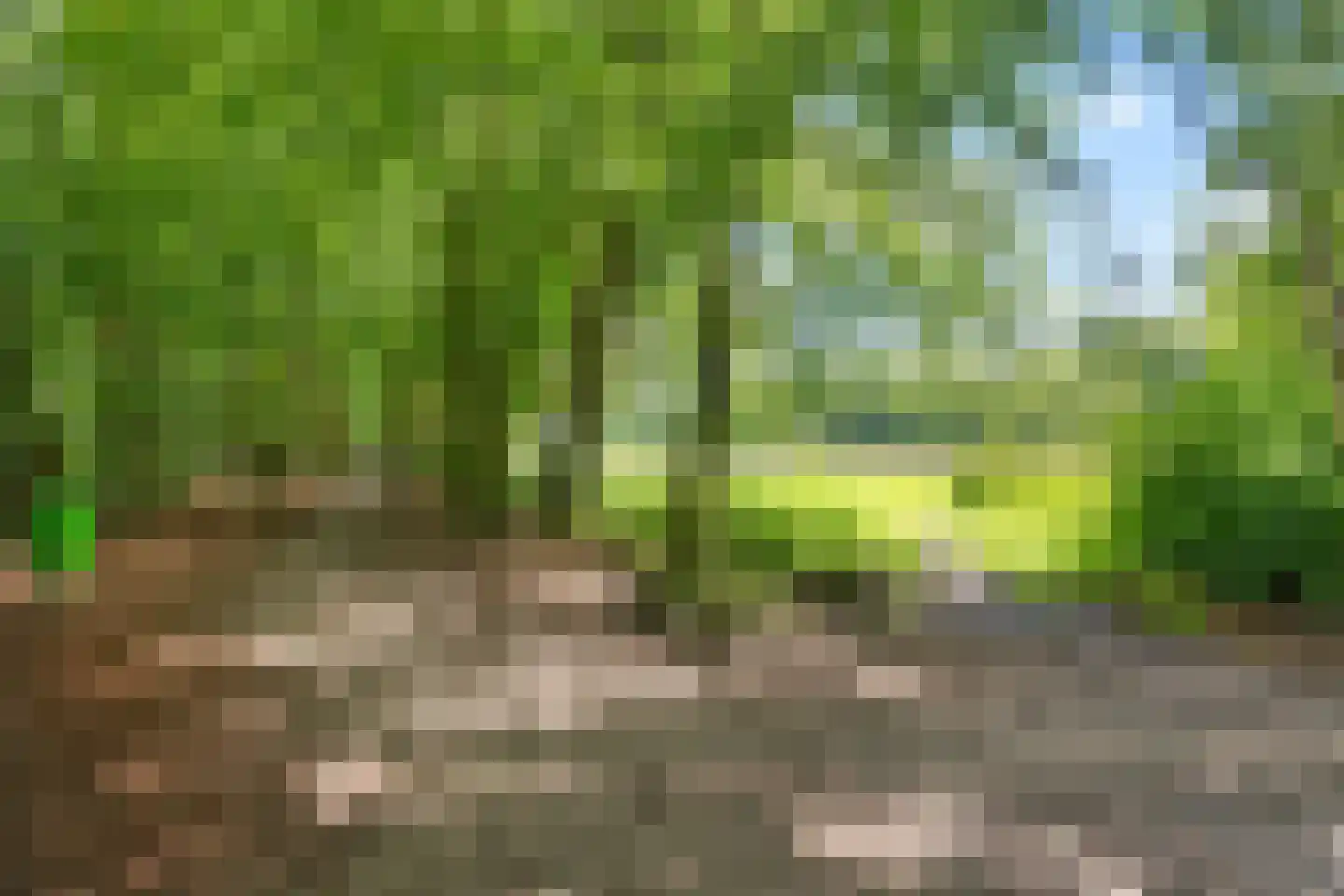 Epe 11 Assen thumbnail 41