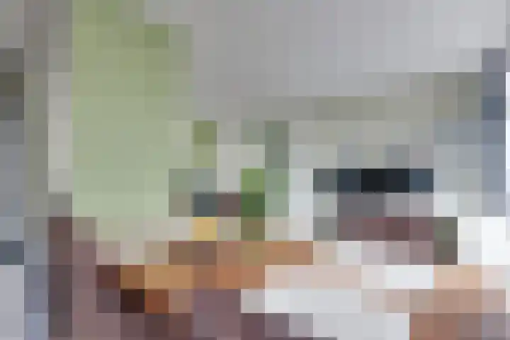 Epe 28 Assen thumbnail 7