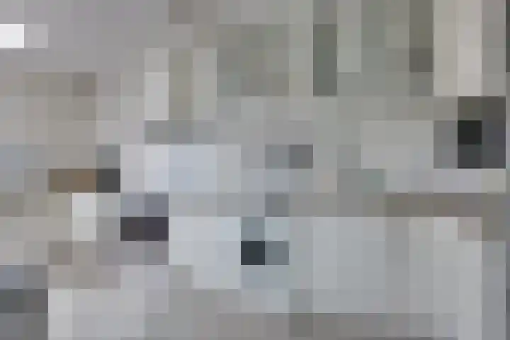 Epe 28 Assen thumbnail 8