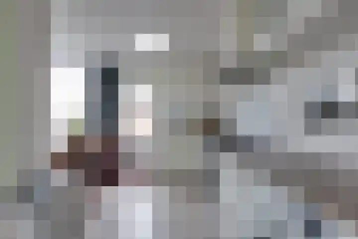 Epe 28 Assen thumbnail 9