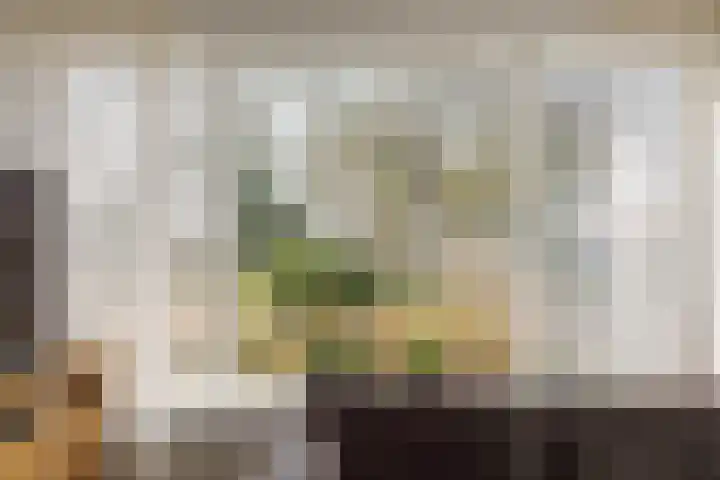 Epe 40 Assen thumbnail 17