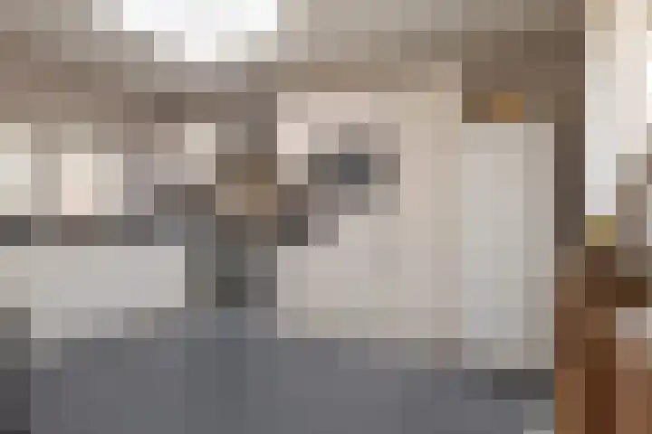 Epe 40 Assen thumbnail 23