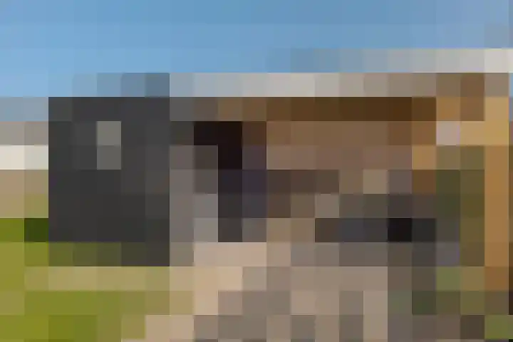 Epe 40 Assen thumbnail 34