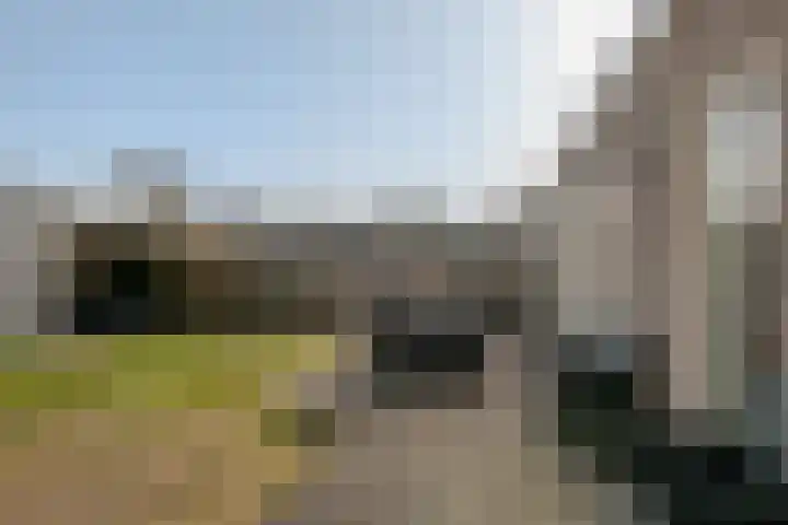 Epe 40 Assen thumbnail 35