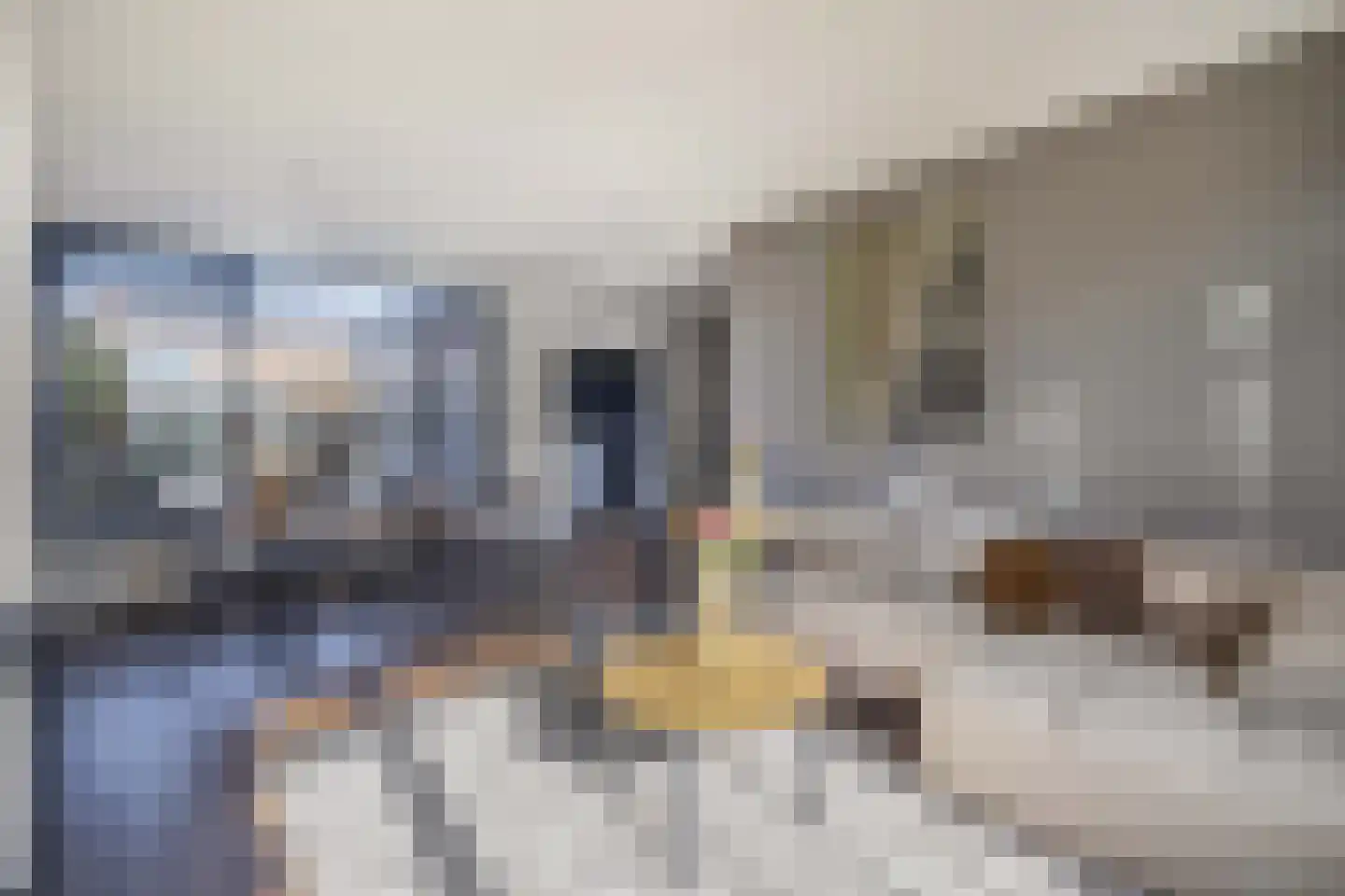 Epe 5 Assen thumbnail 12