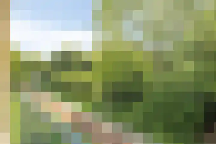 Epe 53 Assen thumbnail 4