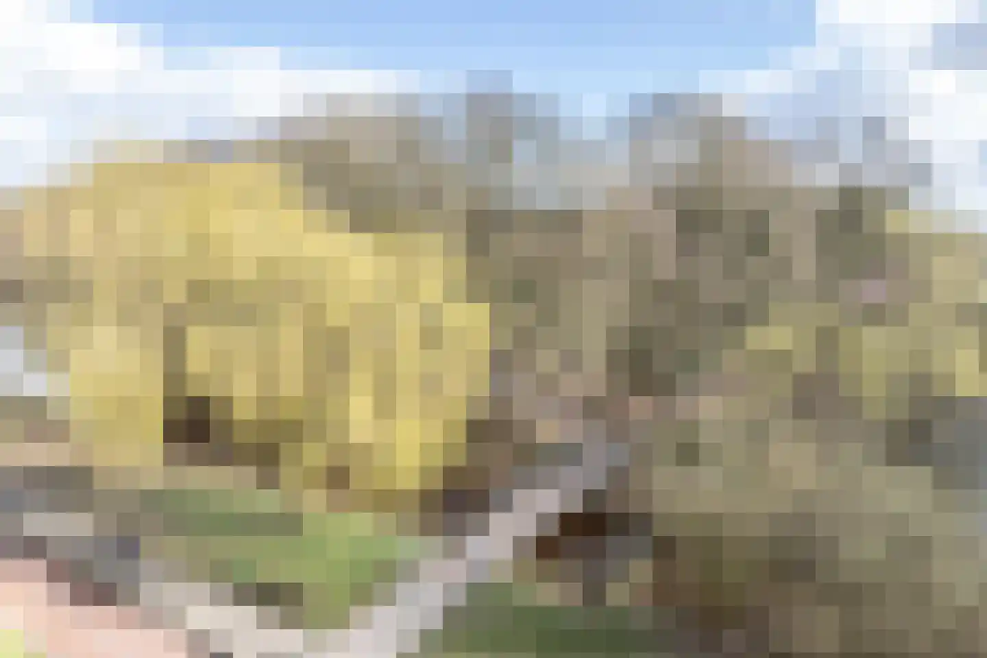 Epe 69 Assen thumbnail 12