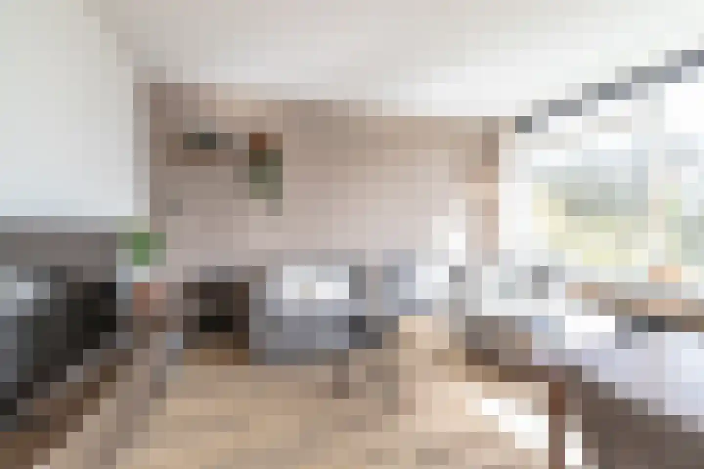 Epe 69 Assen thumbnail 8