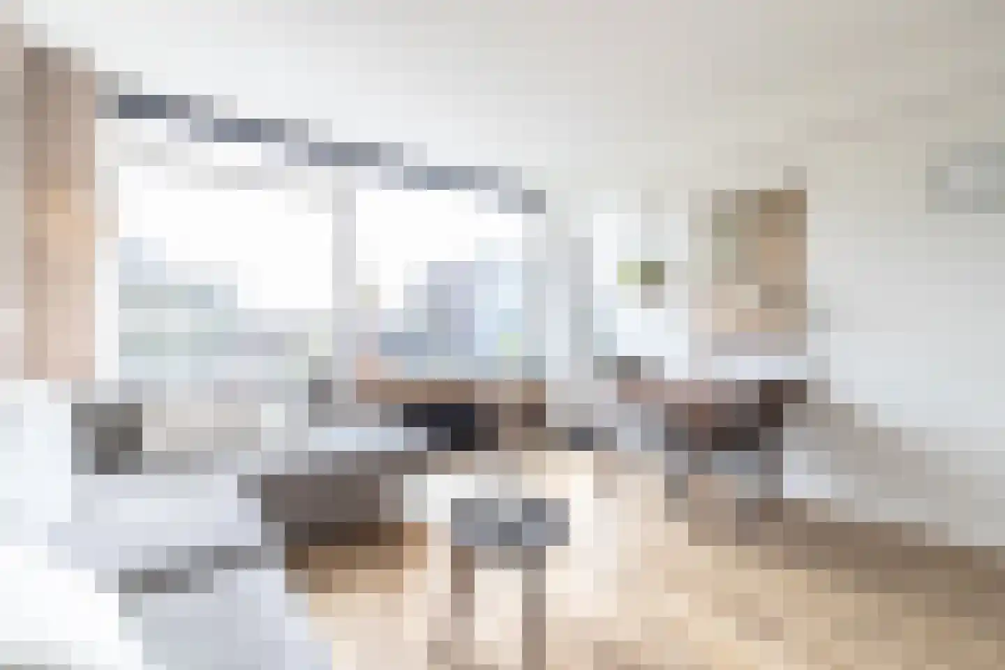Epe 69 Assen thumbnail 9