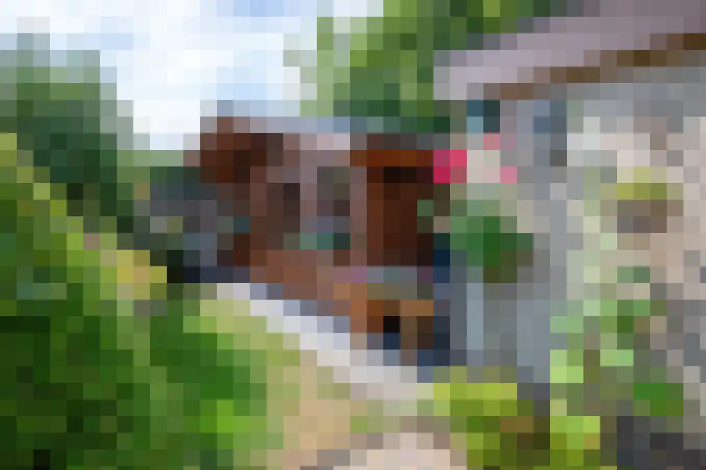 Epelaan 17 De Koog thumbnail 44