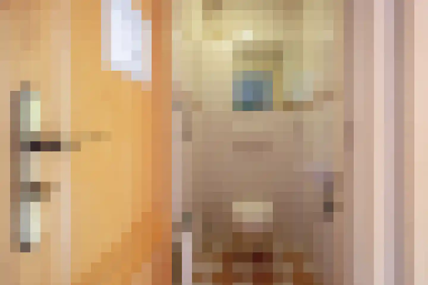 Epelaan 17 X De Koog thumbnail 27