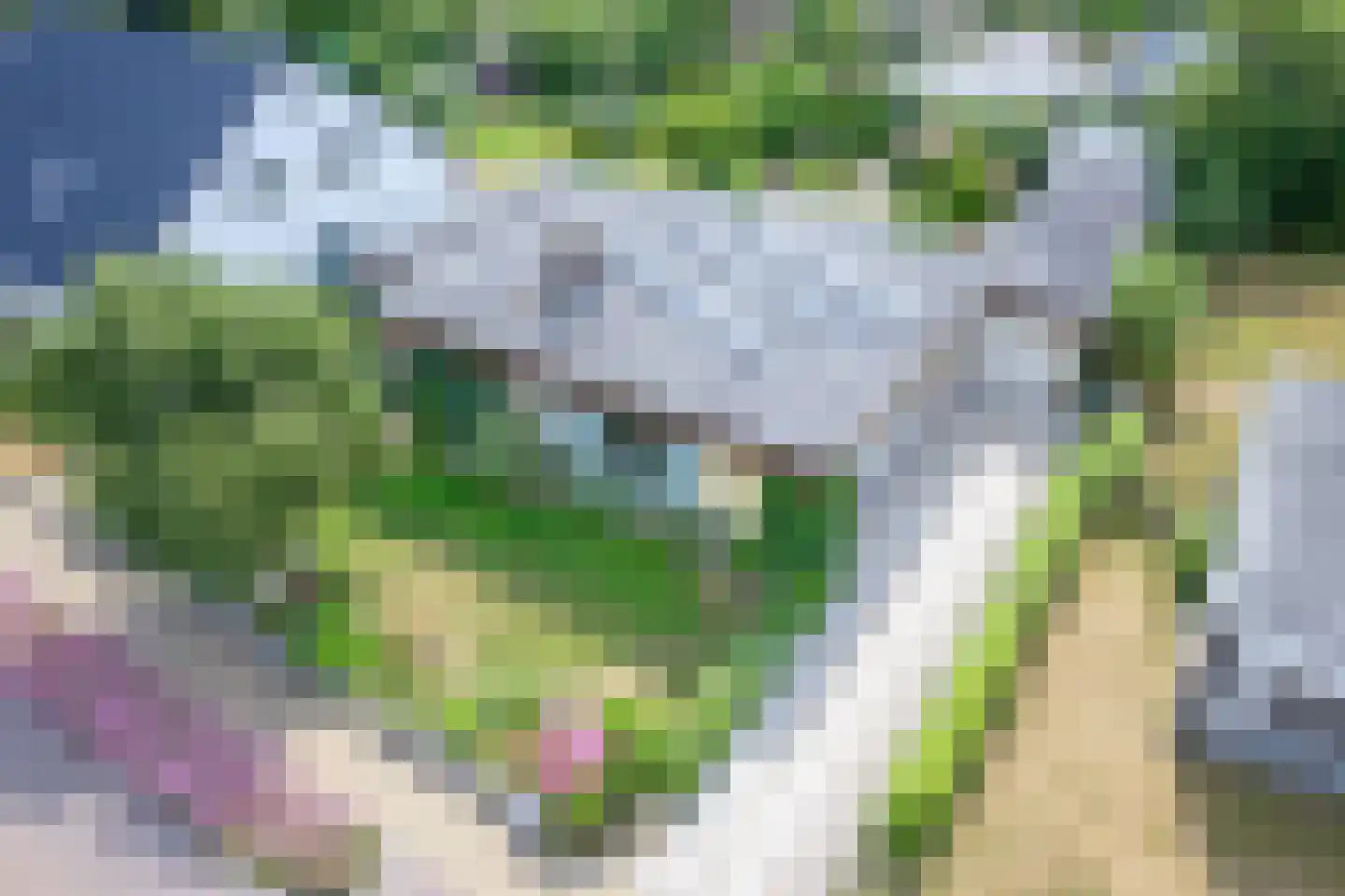 Epelaan 17 X De Koog foto 3