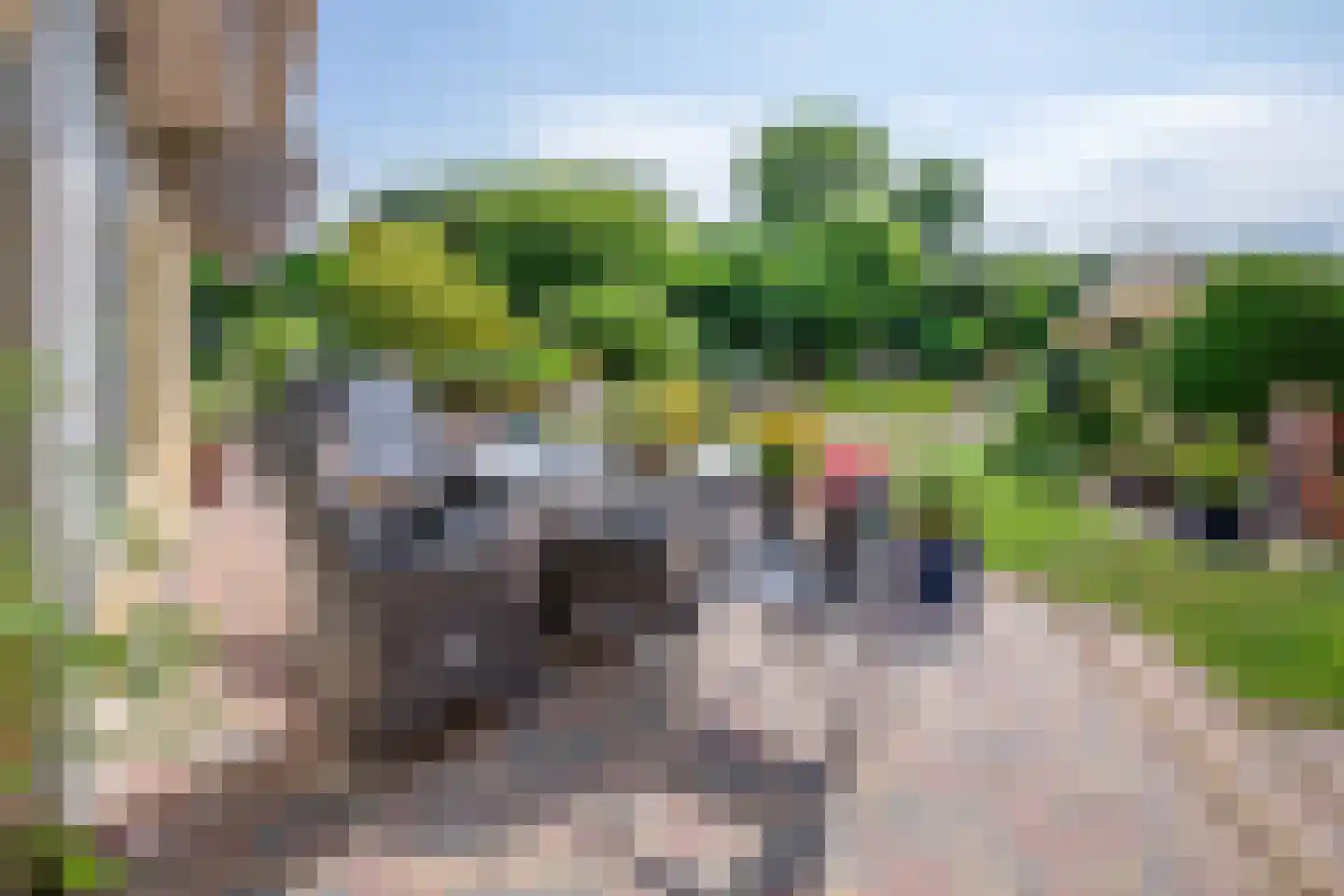 Epelaan 17 X De Koog thumbnail 36