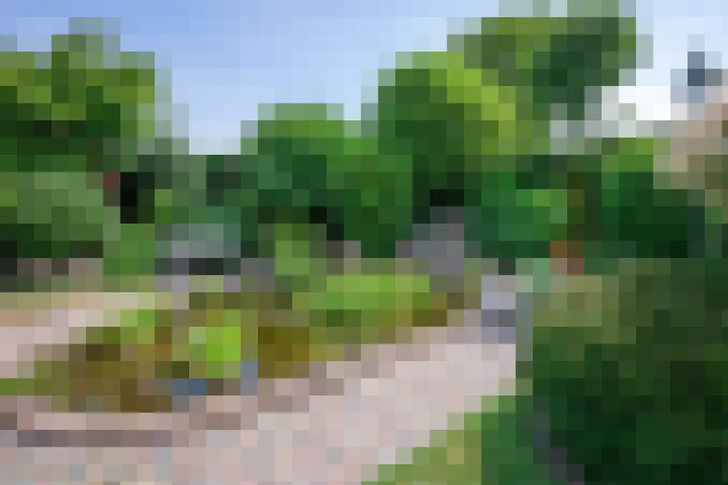 Epelaan 17 X De Koog thumbnail 42