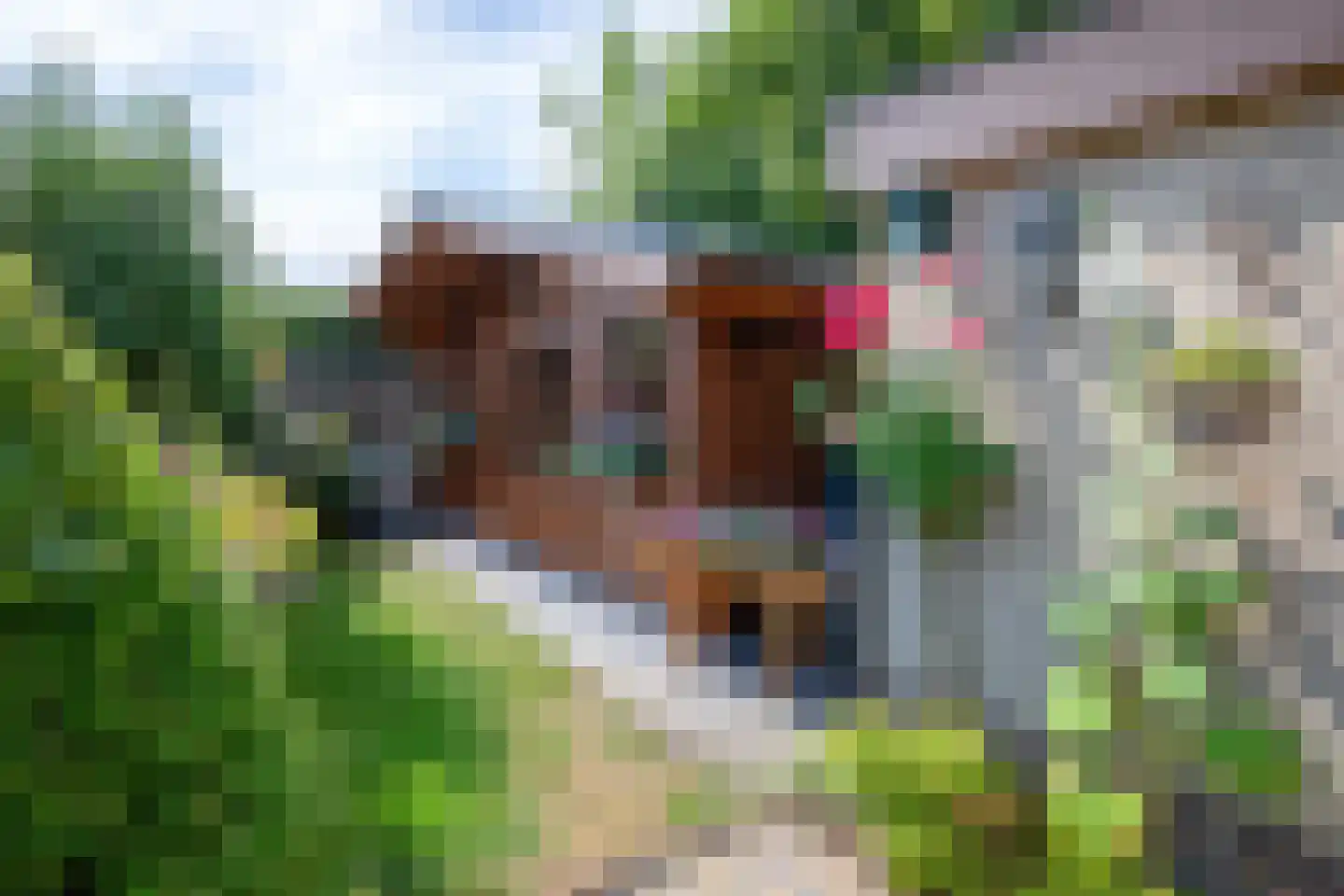 Epelaan 17 X De Koog thumbnail 44