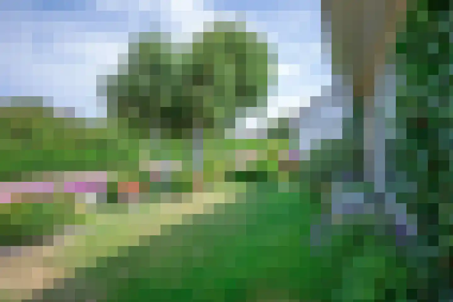 Epelaan 17 X De Koog thumbnail 49