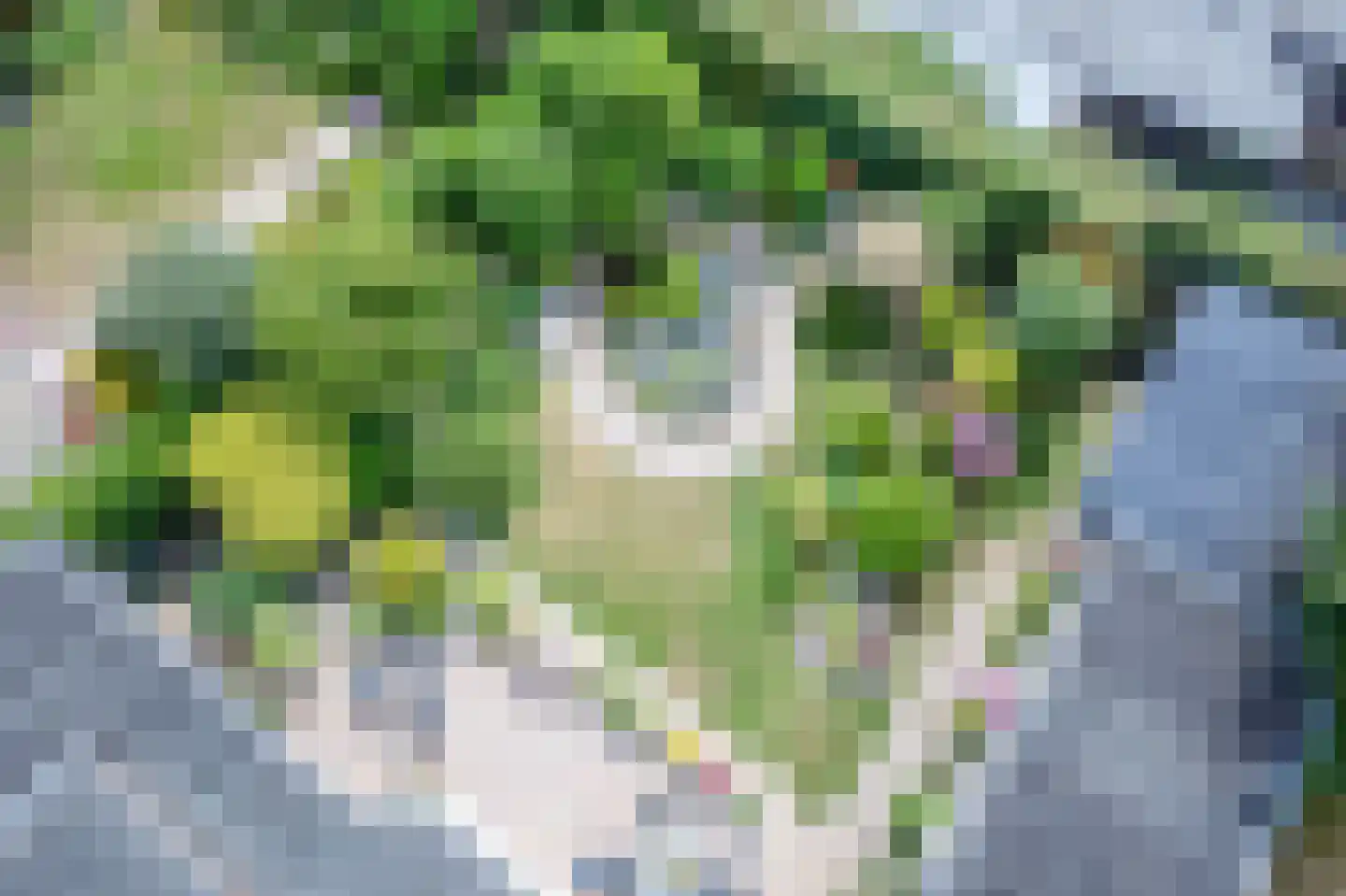 Epelaan 17 X De Koog thumbnail 53