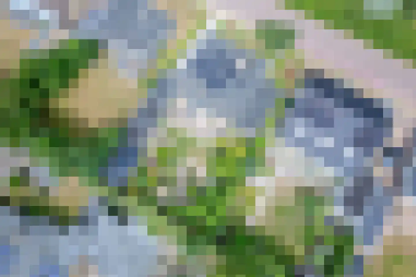 Epelaan 17 X De Koog thumbnail 54