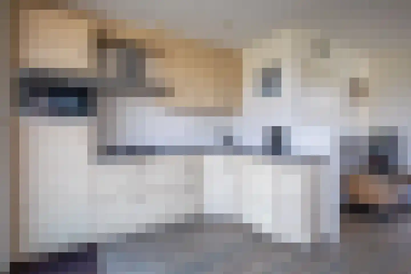 Epelaan 19 De Koog thumbnail 12