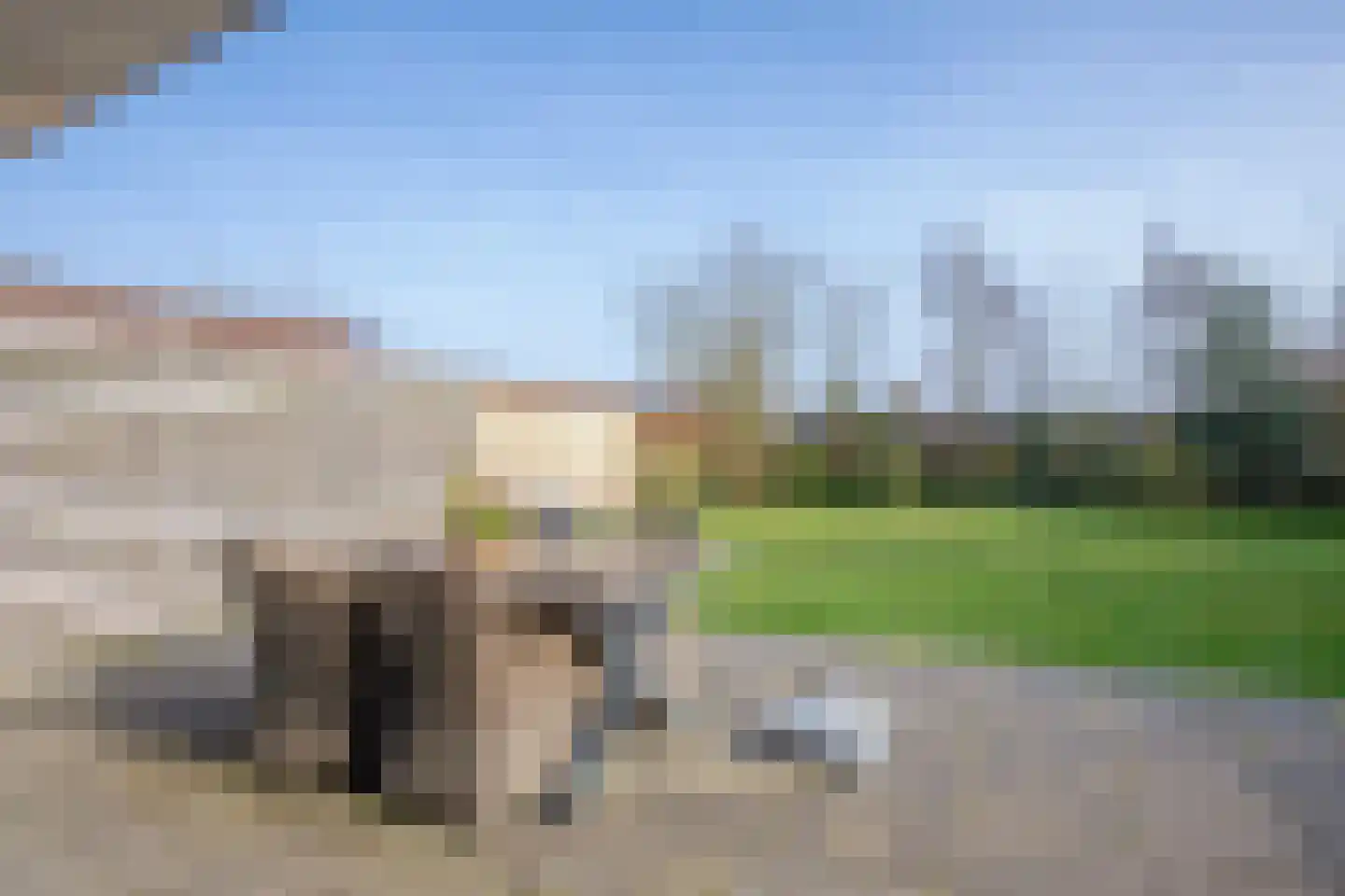 Epelaan 19 De Koog thumbnail 32