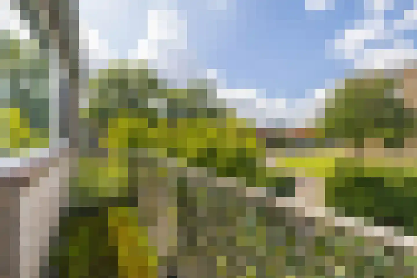 Epelenberg 40 Breda thumbnail 36