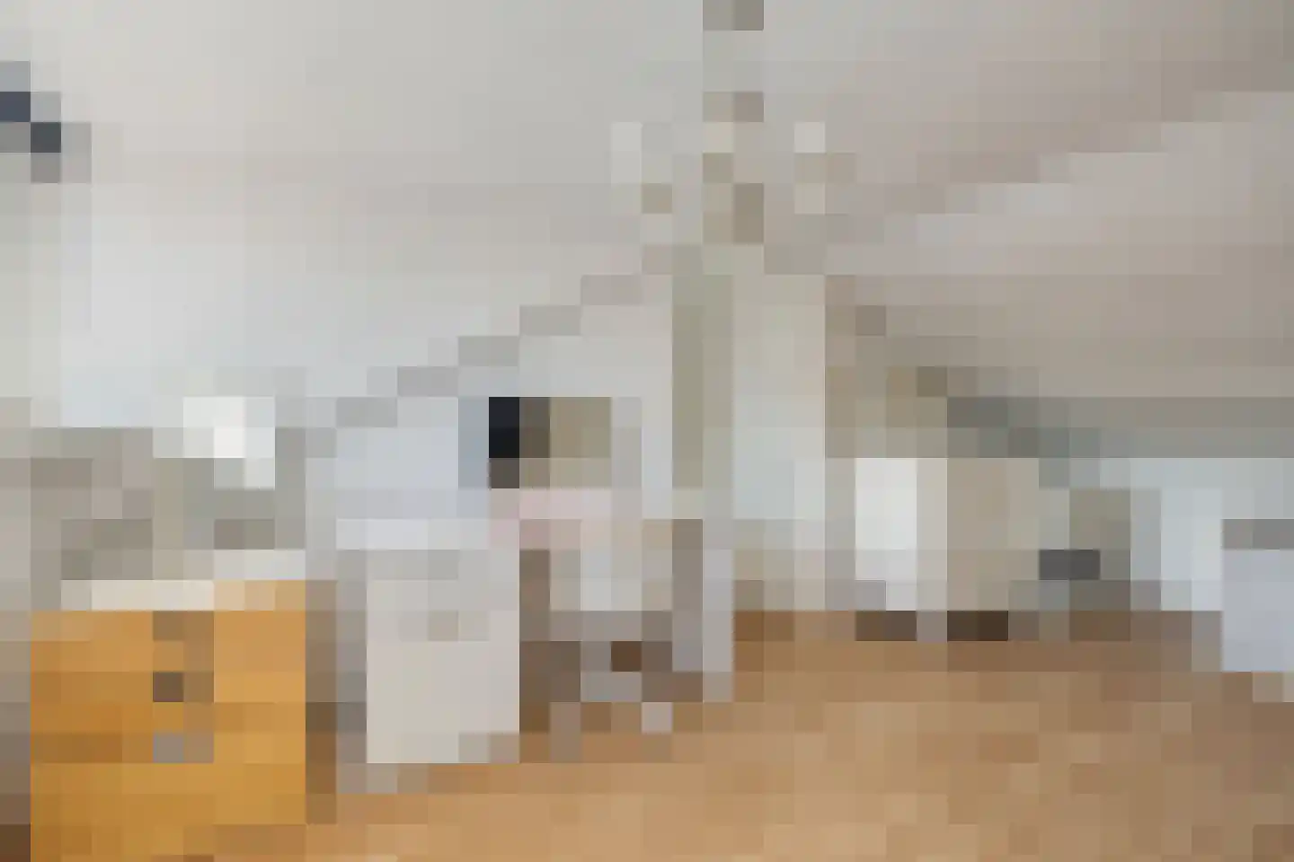 Epelenberg 40 Breda thumbnail 50