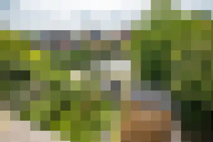 Epemastate 11 Leeuwarden thumbnail 34