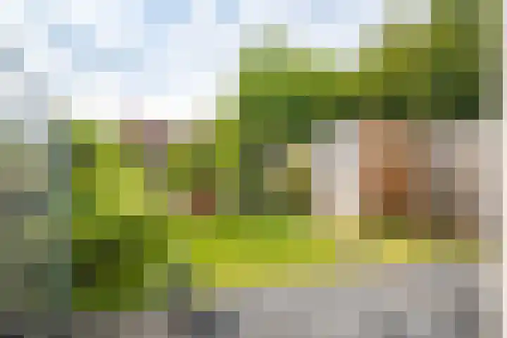Epemastate 11 Leeuwarden thumbnail 48