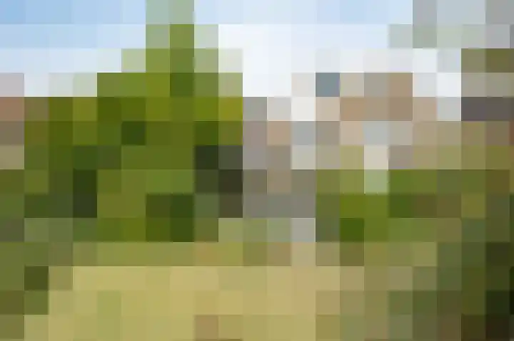 Epemastate 11 Leeuwarden thumbnail 5