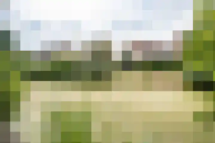 Epemastate 11 Leeuwarden thumbnail 52