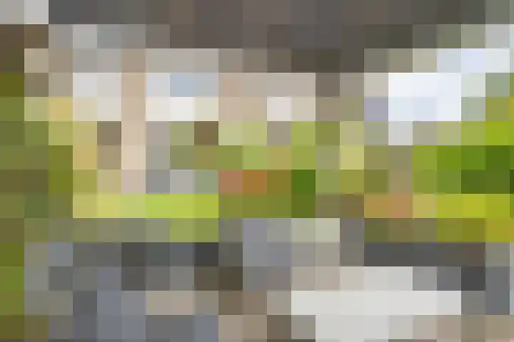 Epemastate 11 Leeuwarden thumbnail 53