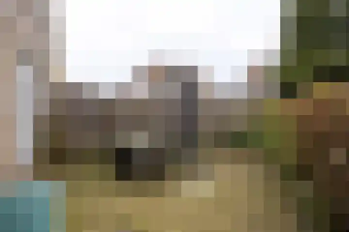 Epemastate 18 Leeuwarden thumbnail 50