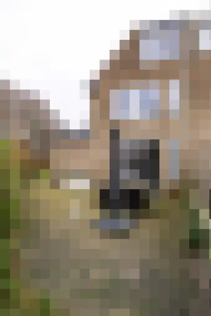 Epemastate 18 Leeuwarden thumbnail 52