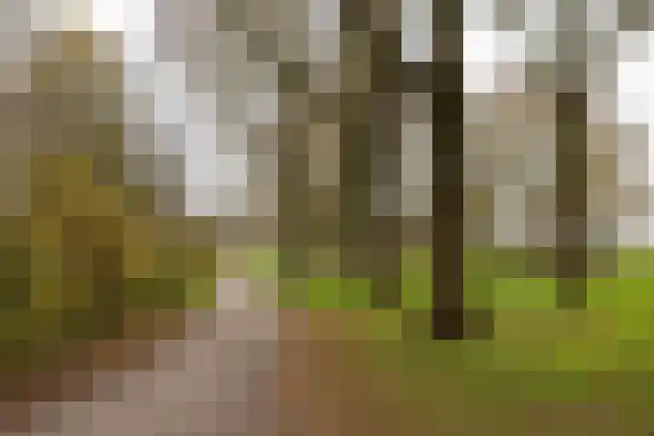 Epemastate 18 Leeuwarden thumbnail 54