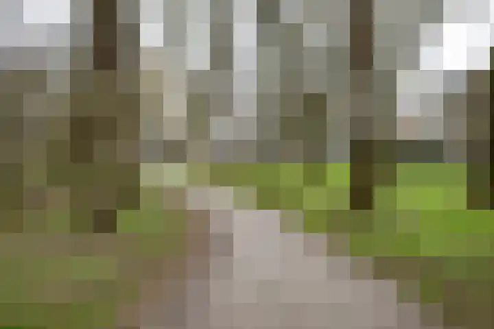 Epemastate 18 Leeuwarden thumbnail 55