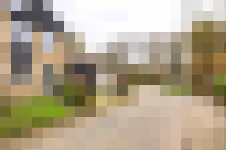 Epemastate 18 Leeuwarden thumbnail 7